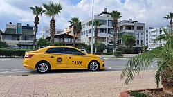 Payas çiçek taksi